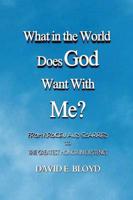 What in the World Does God Want with Me?: From Broken and Scarred to the Greatest Honor in Existence