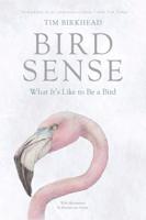 Bird Sense