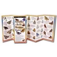 Butterflies of the Rocky Mountain Region