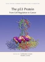 The P53 Protein