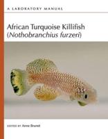 African Turquoise Killifish (Nothobranchius Furzeri)