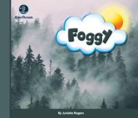 Eye on the Sky: Foggy