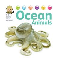 Ocean Animals