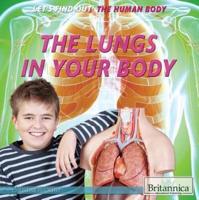 The Lungs in Your Body