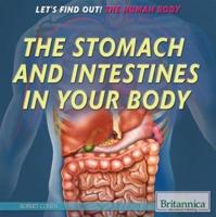 The Stomach and Intestines in Your Body
