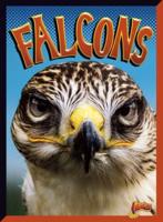 Falcons