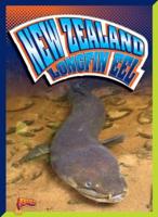 New Zealand Longfin Eel