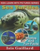 Sea Turtles