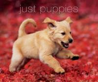 Just Puppies