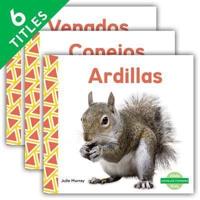 Animales Comunes (Everyday Animals ) (Spanish Version) (Set)