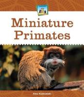 Miniature Primates