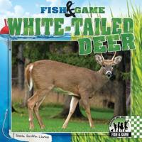 White-Tailed Deer