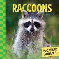 Raccoons