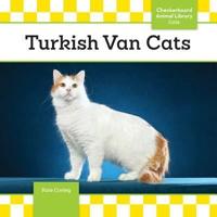 Turkish Van Cats