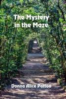 The Mystery in the Maze