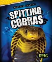 Spitting Cobras