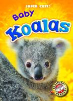 Baby Koalas