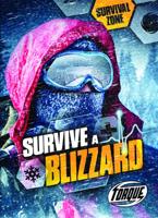 Survive a Blizzard