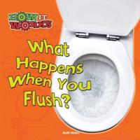 What Happens When You Flush?