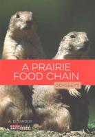 A Prairie Food Chain