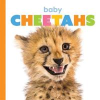 Baby Cheetahs