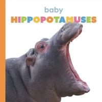 Baby Hippopotamuses