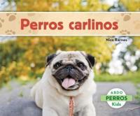 Perros Carlinos (Pugs)