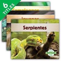 Reptiles (Reptiles) (Set)