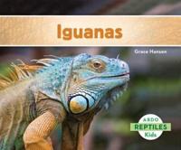 Iguanas (Iguanas) (Spanish Version)