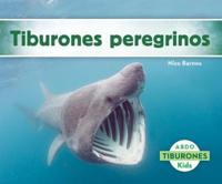 Tiburones Peregrinos (Basking Sharks)