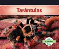 Tarantulas (Tarantula Spiders)