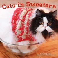Cats in Sweaters 2016