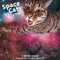 Space Cats! 2016