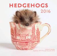 Hedgehogs 2016 Mini