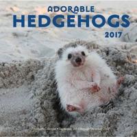 Adorable Hedgehogs 2017