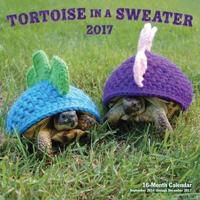 Tortoise in a Sweater 2017
