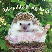 Adorable Hedgehogs 2018