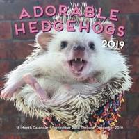 Adorable Hedgehogs Mini 2019