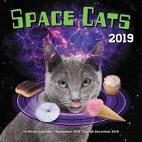 Space Cats 2019