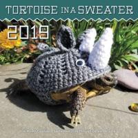 Tortoise in a Sweater 2019