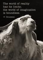 Imagination Is Boundless