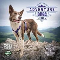 Adventure Dogs 2022 Wall Calendar