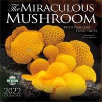 Miraculous Mushroom 2022 Wall Calendar