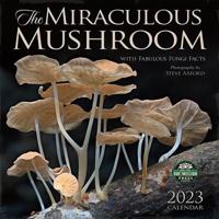 Miraculous Mushroom 2023 Wall Calendar