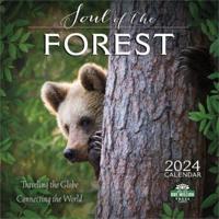 Soul of the Forest 2024 Calendar