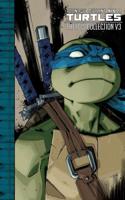 Teenage Mutant Ninja Turtles. V 3