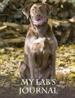 My Lab's Journal: Building Memories One Day at a Time