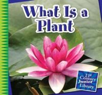 What Is a Plant?