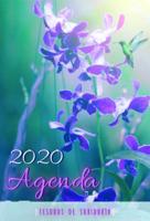 2020 Agenda - Tesoros De Sabiduría - Orquídeas Y Mariposas