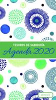 2020 Planificador - Tesoros De Sabiduría - Círculos Geométricos De Verde Y Azul